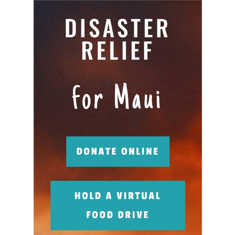 Maui Part 2: Should we do another benefit show for Maui? 🌺🕊💖